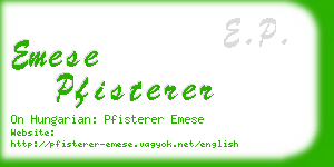 emese pfisterer business card